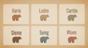 names that mean bear